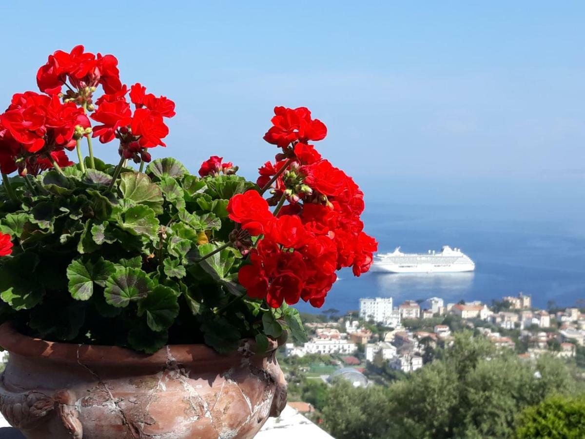 Le Muse Suite Sorrento Exterior foto