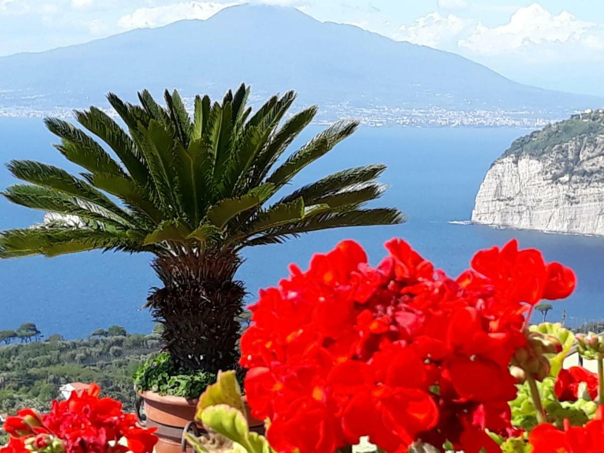 Le Muse Suite Sorrento Exterior foto